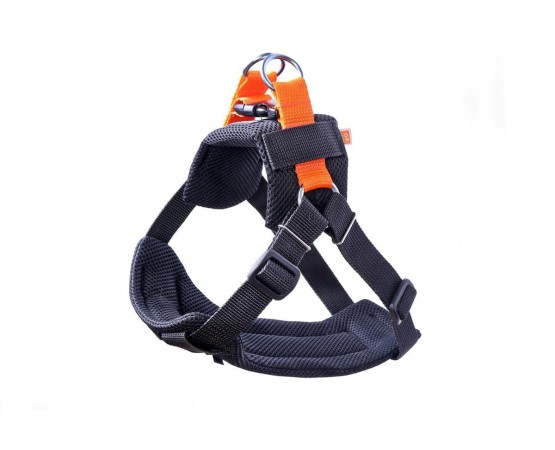 Ham cu centura auto transport caini 3D