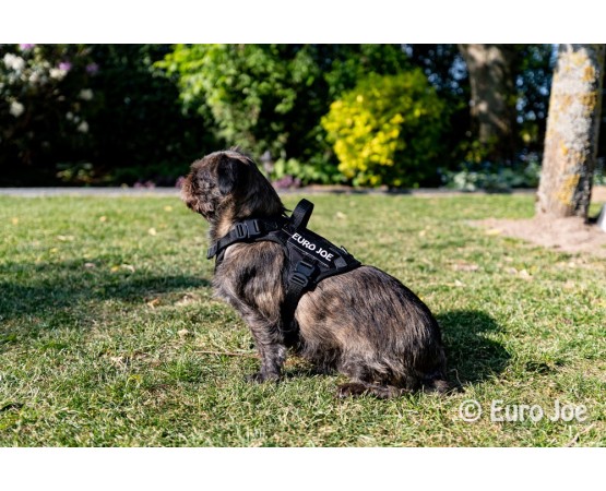 Ham Tactical Cobra Euro Joe