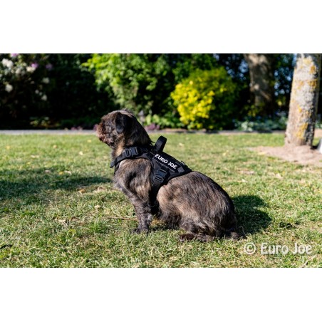 Ham Tactical Cobra Euro Joe