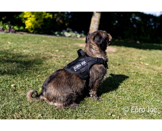 Ham Tactical Cobra Euro Joe