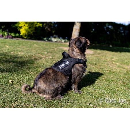 Ham Tactical Cobra Euro Joe