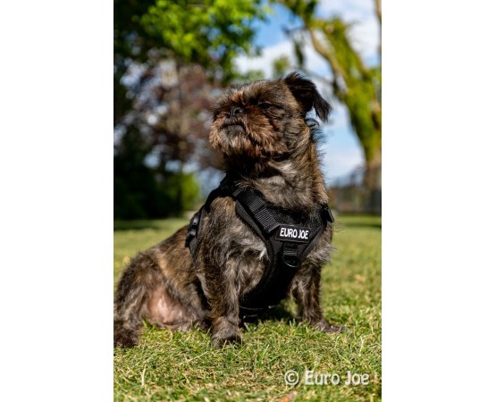 Ham Tactical Cobra Euro Joe