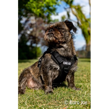 Ham Tactical Cobra Euro Joe