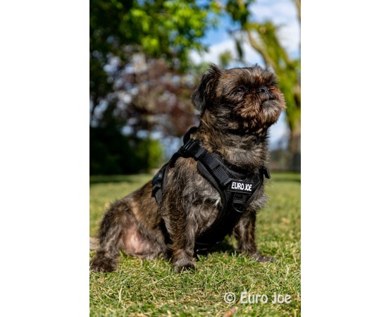 Ham Tactical Cobra Euro Joe