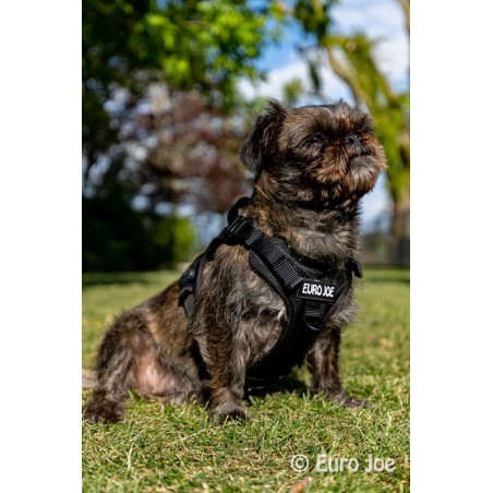 Ham Tactical Cobra Euro Joe