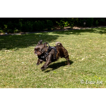 Ham Tactical Cobra Euro Joe