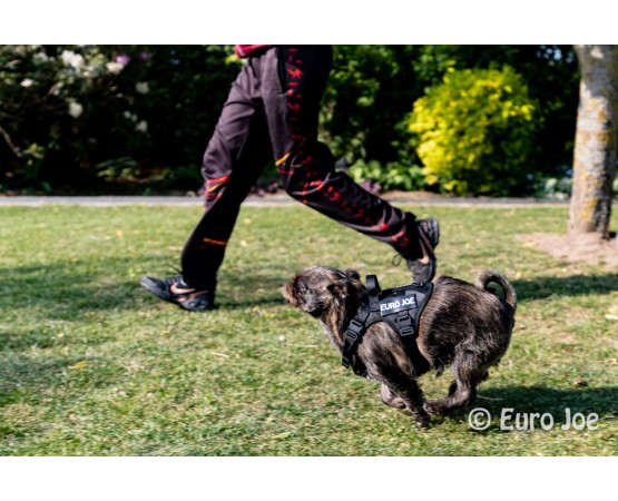 Ham Tactical Cobra Euro Joe