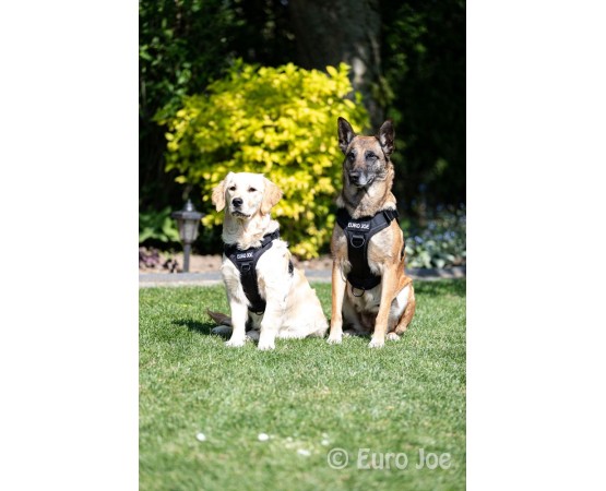 Ham tactic Cobra Euro Joe M