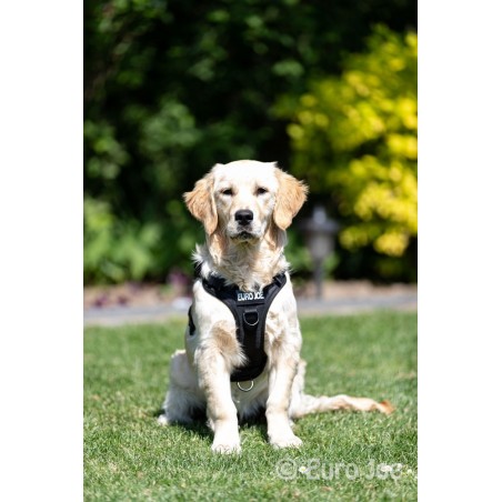 Ham tactic Cobra Euro Joe M