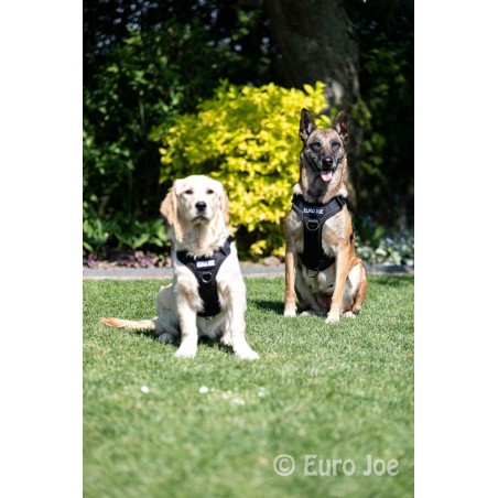 Ham tactic Cobra Euro Joe M