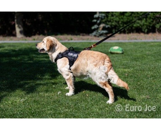 Ham tactic Cobra Euro Joe M