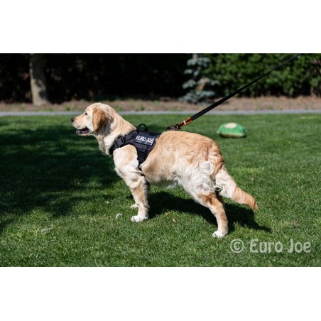 Ham tactic Cobra Euro Joe M