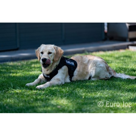 Ham tactic Cobra Euro Joe M