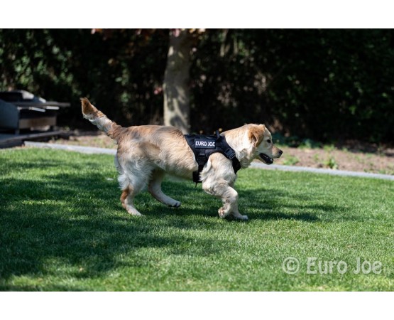 Ham tactic Cobra Euro Joe M