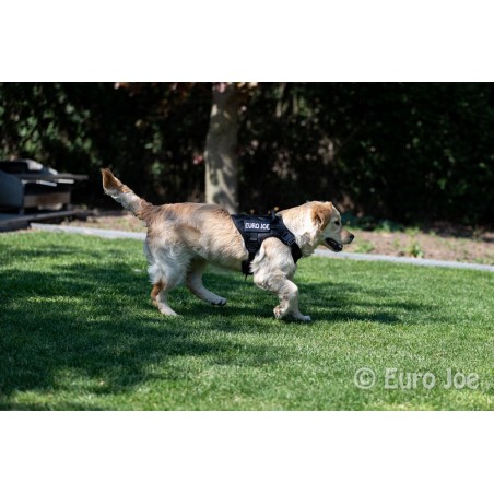 Ham tactic Cobra Euro Joe M