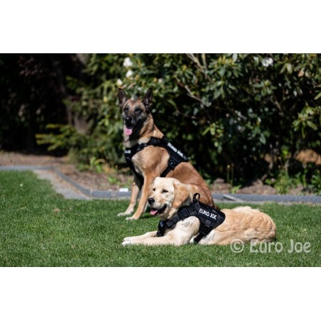 Ham tactic Cobra Euro Joe M