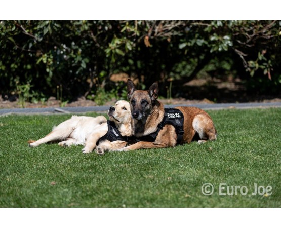 Ham tactic Cobra Euro Joe M