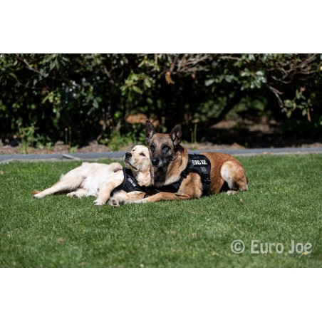 Ham tactic Cobra Euro Joe M