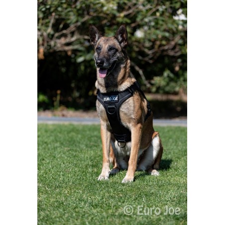 Ham tactic Cobra Euro Joe L