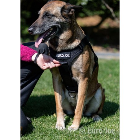 Ham tactic Cobra Euro Joe L