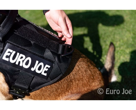 Ham tactic Cobra Euro Joe L