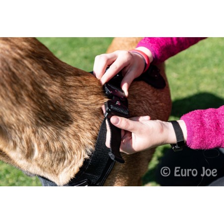 Ham tactic Cobra Euro Joe L