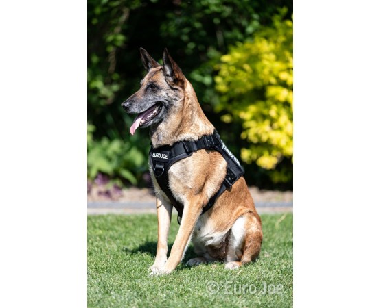 Ham tactic Cobra Euro Joe XL