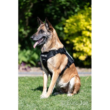 Ham tactic Cobra Euro Joe XL