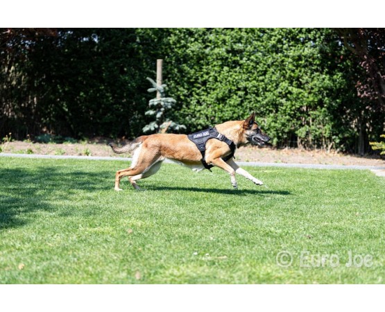 Ham tactic Cobra Euro Joe XL