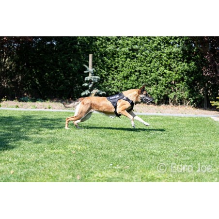 Ham tactic Cobra Euro Joe XL