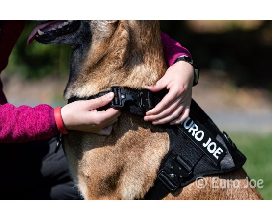 Ham tactic Cobra Euro Joe XL