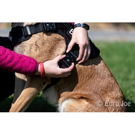 Ham tactic Cobra Euro Joe XL