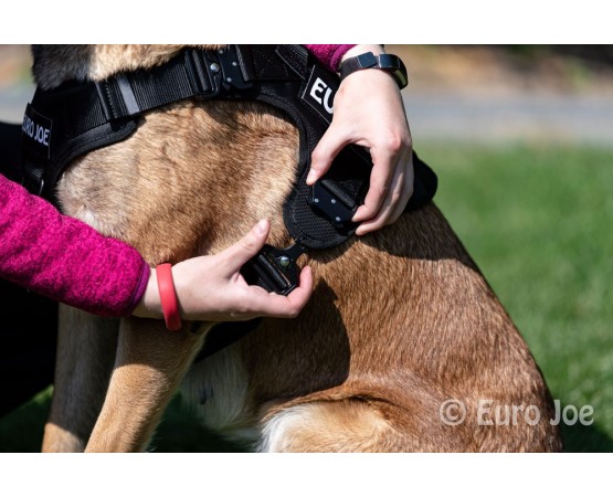 Ham tactic Cobra Euro Joe XL