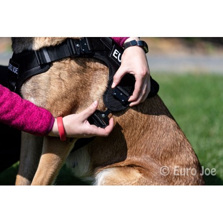 Ham tactic Cobra Euro Joe XL