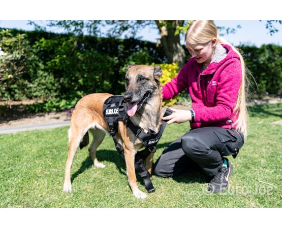 Ham tactic Cobra Euro Joe XL