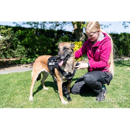 Ham tactic Cobra Euro Joe XL