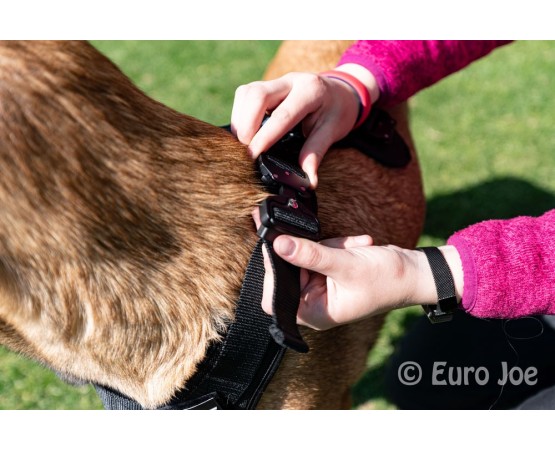 Ham tactic Cobra Euro Joe XL