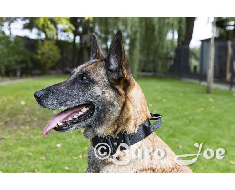 Zgarda Tactica Cobra Euro Joe L